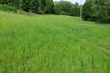 Landwirtschaftliche Nutzfläche im Böhmerwald – Thumbnail 4