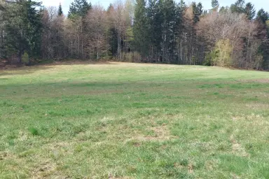 Landwirtschaftliche Nutzfläche im Böhmerwald – Thumbnail 5