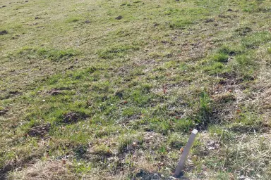 Landwirtschaftliche Nutzfläche im Böhmerwald – Thumbnail 6