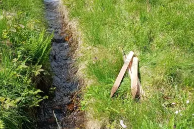 Landwirtschaftliche Nutzfläche im Böhmerwald – Thumbnail 7