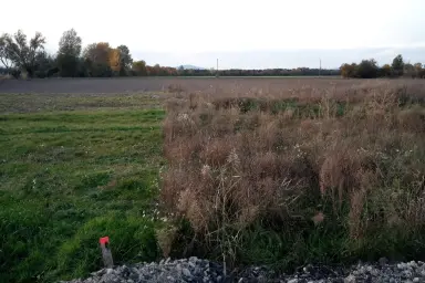 Ebener, aufgeschlossener Baugrund am Ortsrand – 20 Min. nach Wien – Thumbnail 5