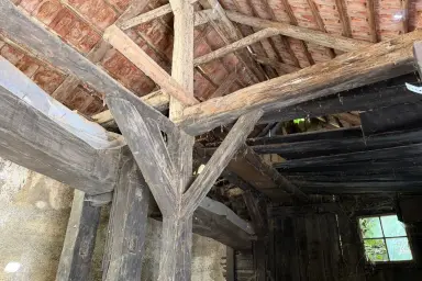 Projektobjekt mit Potenzial - traditionelles Presshaus in Wagram für kreative Sanierer – Thumbnail 6