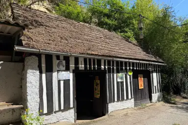 Projektobjekt mit Potenzial - traditionelles Presshaus in Wagram für kreative Sanierer – Thumbnail 1