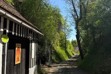 Projektobjekt mit Potenzial - traditionelles Presshaus in Wagram für kreative Sanierer – Thumbnail 10