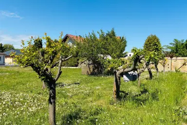 Top Baugrundstück in bester Wohngegend und Seenähe in Weiden am See – Thumbnail 11