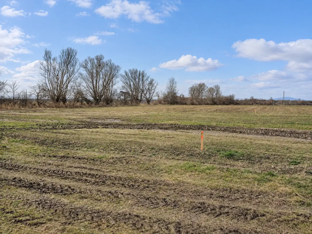 Ebener, aufgeschlossener Baugrund am Ortsrand – 20 Min. nach Wien, Foto 4