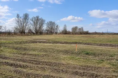 Ebener, aufgeschlossener Baugrund am Ortsrand – 20 Min. nach Wien, Thumbnail 4