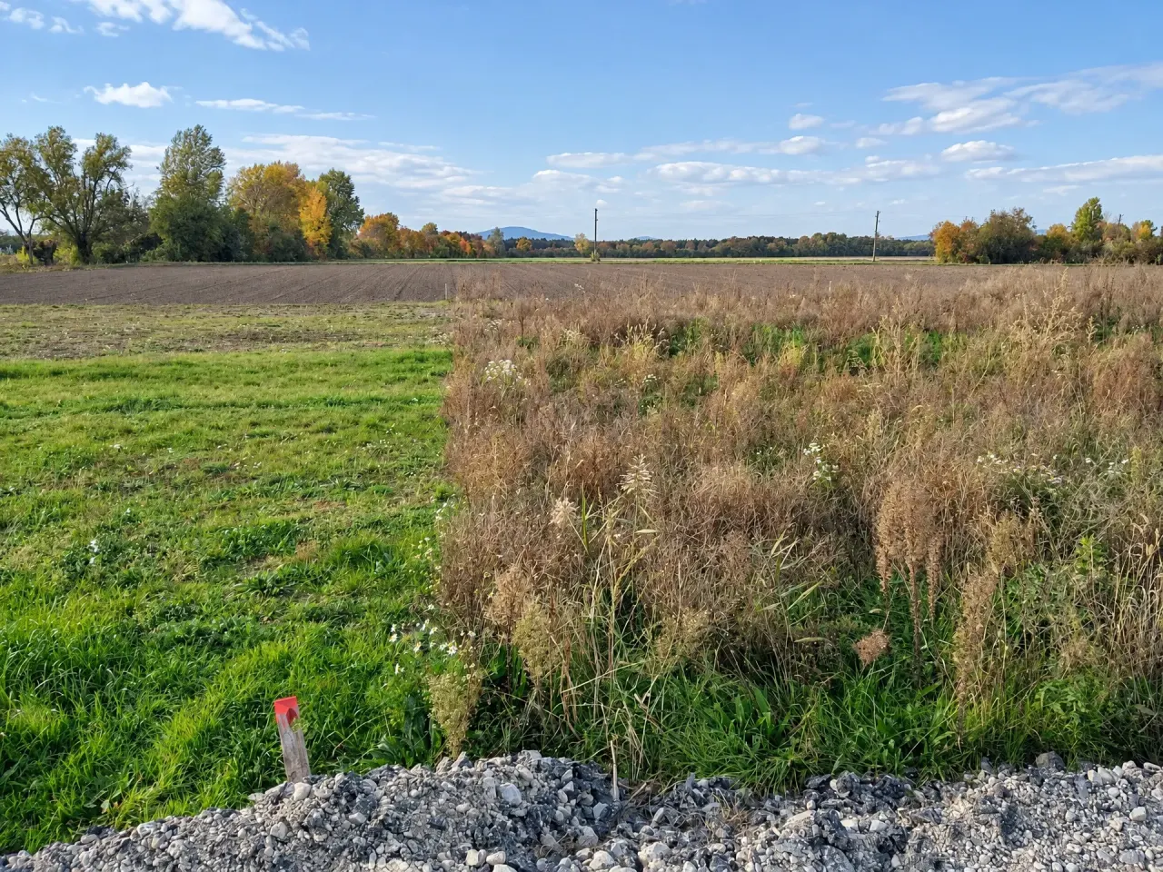 Ebener, aufgeschlossener Baugrund am Ortsrand – 20 Min. nach Wien, Foto 5