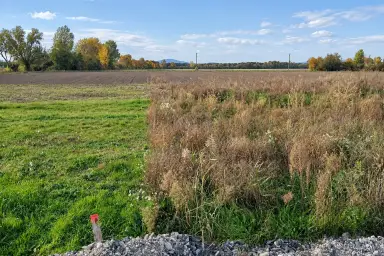 Ebener, aufgeschlossener Baugrund am Ortsrand – 20 Min. nach Wien, Thumbnail 5