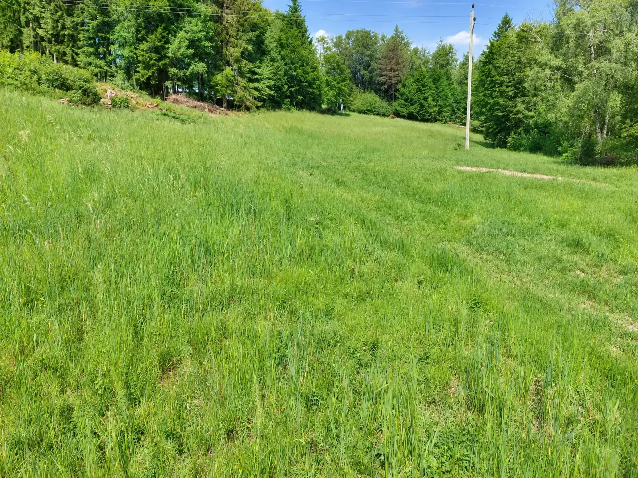 Landwirtschaftliche Nutzfläche im Böhmerwald