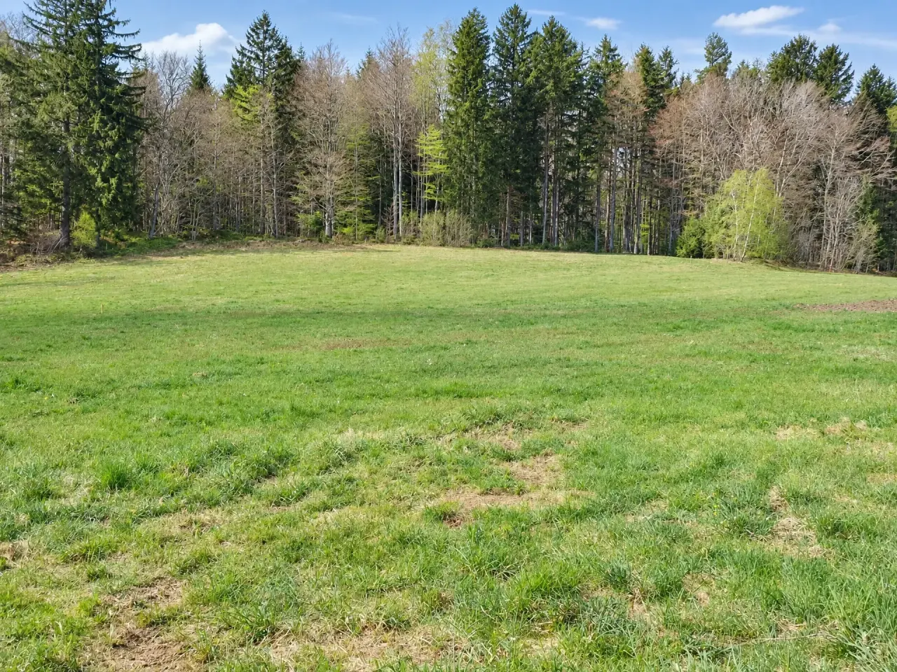 Landwirtschaftliche Nutzfläche im Böhmerwald, Foto 2