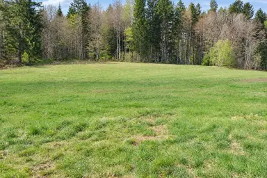 Landwirtschaftliche Nutzfläche im Böhmerwald, Thumbnail 2