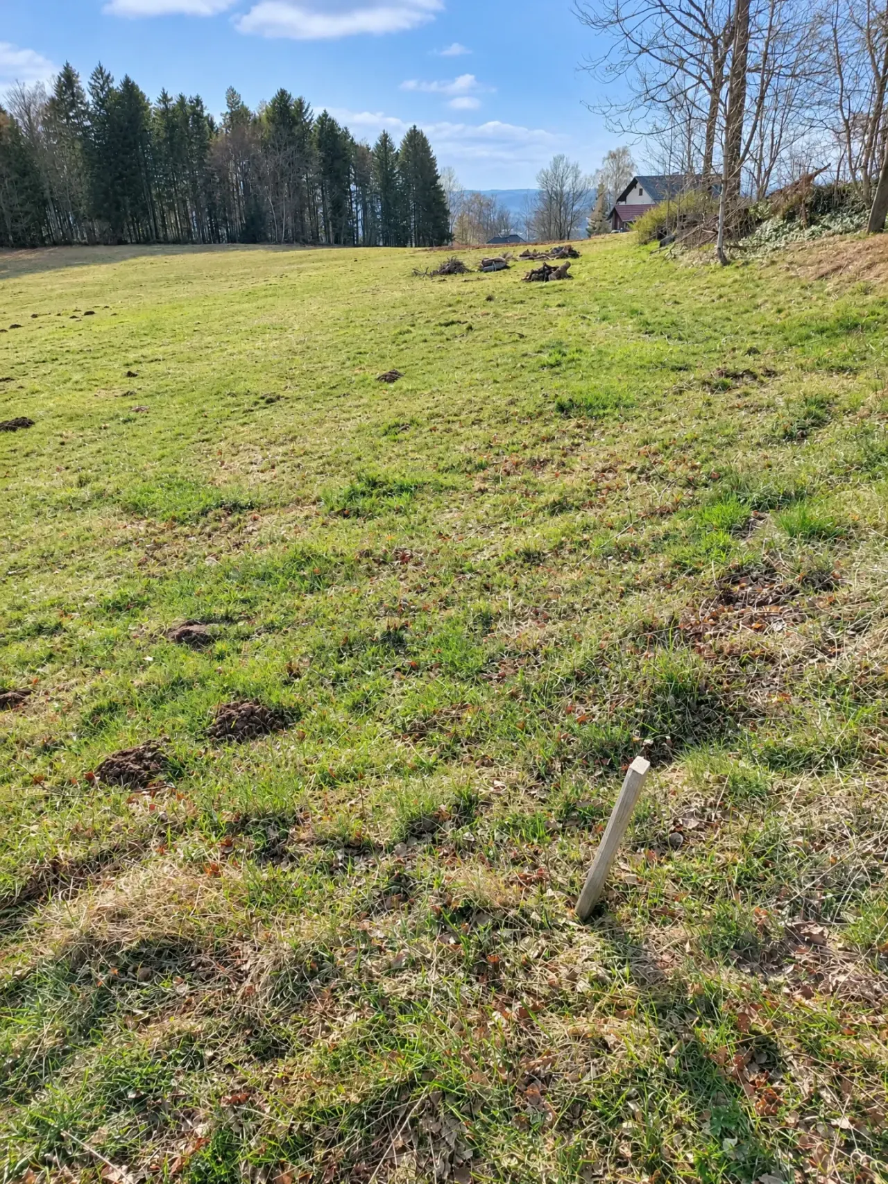 Landwirtschaftliche Nutzfläche im Böhmerwald, Foto 4