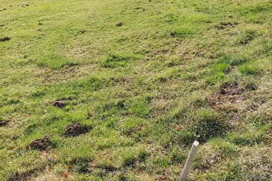 Landwirtschaftliche Nutzfläche im Böhmerwald, Thumbnail 4