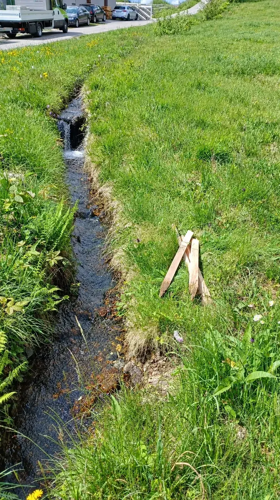 Landwirtschaftliche Nutzfläche im Böhmerwald, Foto 3