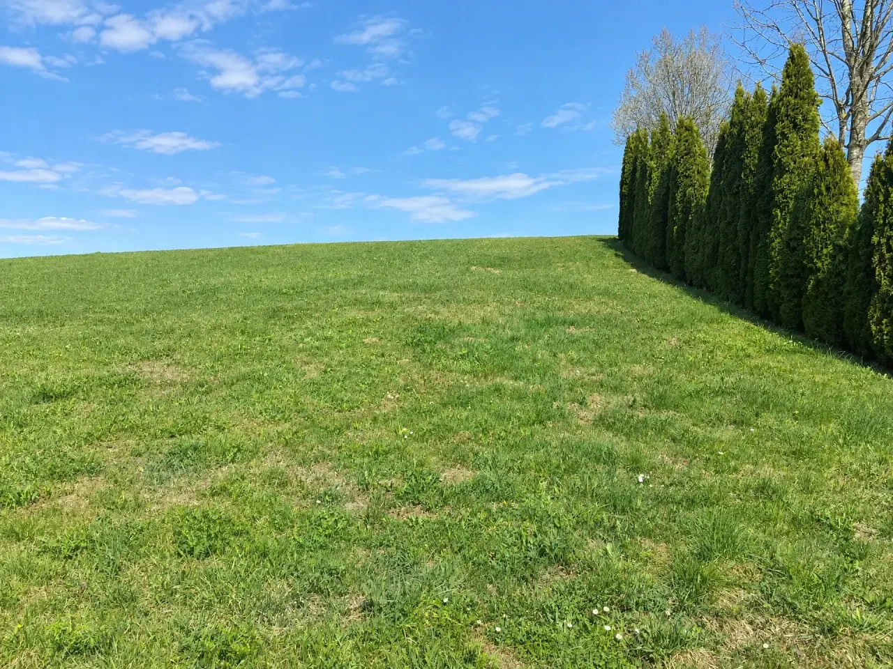 Baugrund ohne Bauzwang, frei wählbare Größe – Gebirgsblick & Atterseenähe, Foto 7