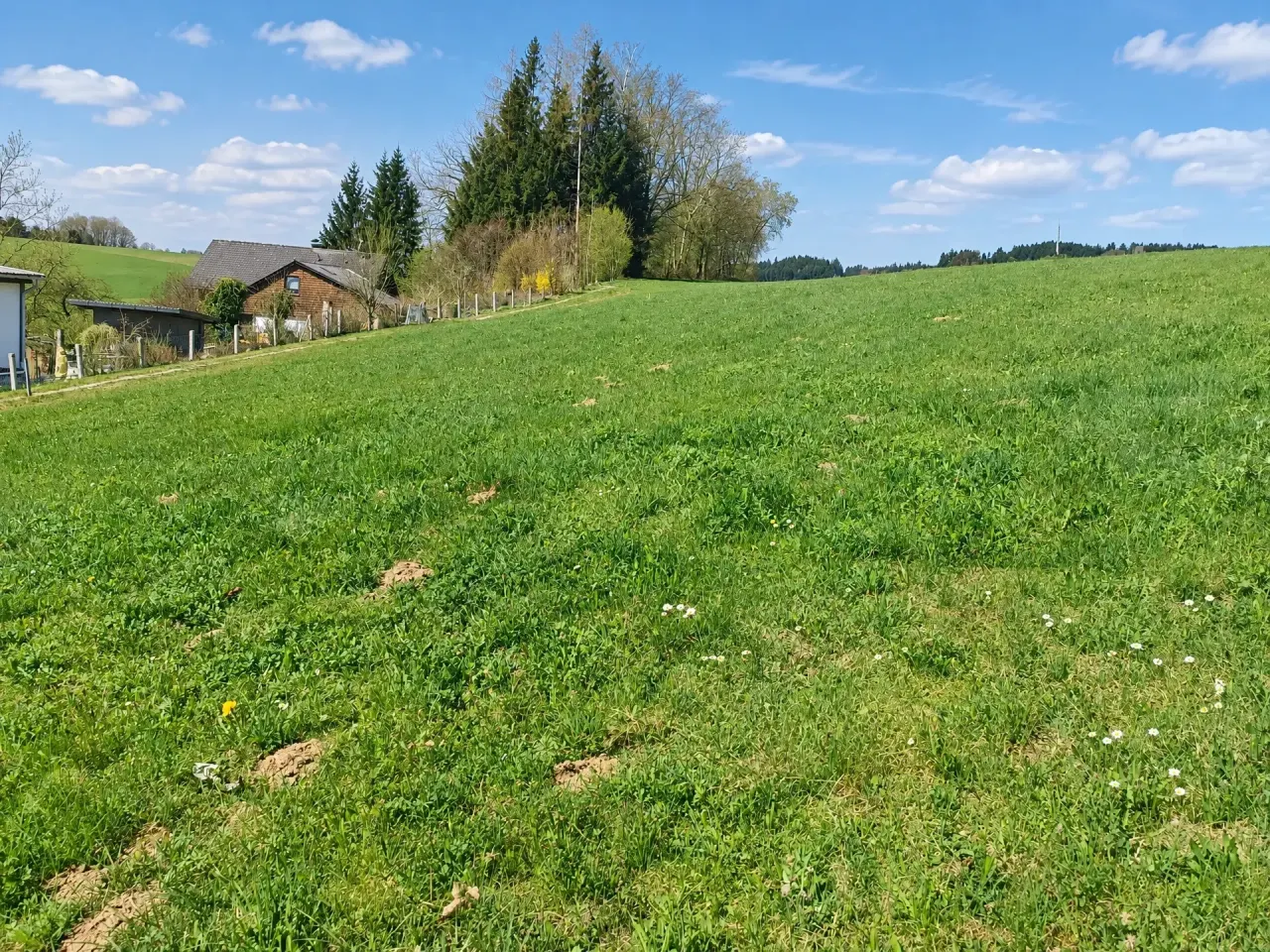 Baugrund ohne Bauzwang, frei wählbare Größe – Gebirgsblick & Atterseenähe, Foto 2