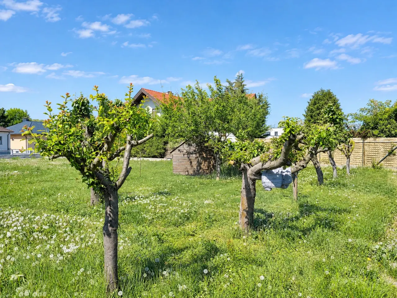 Top Baugrundstück in bester Wohngegend und Seenähe in Weiden am See, Foto 11